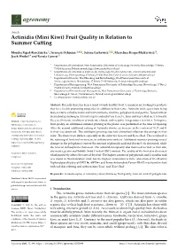 Actinidia (Mini Kiwi) Fruit Quality in Relation to Summer Cutting