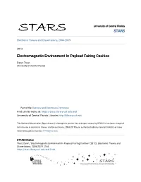 Electromagnetic Environment in Payload Fairing Cavities