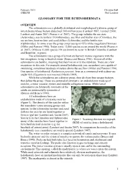 Glossary for the Echinodermata
