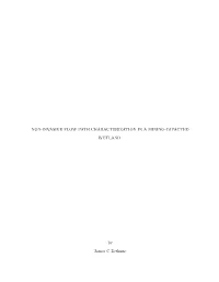 NON-INVASIVE FLOW PATH CHARACTERIZATION in a MINING-IMPACTED WETLAND by James C Bethune