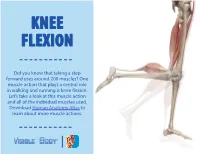 Did You Know That Taking a Step Forward Uses Around 200 Muscles? One Muscle Action That Plays a Central Role in Walking and Running Is Knee Flexion