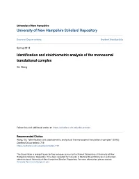 Identification and Stoichiometric Analysis of the Monosomal Translational Complex