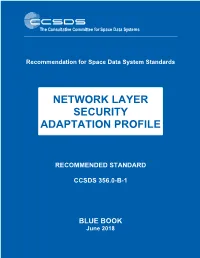 Network Layer Security Adaptation Profile