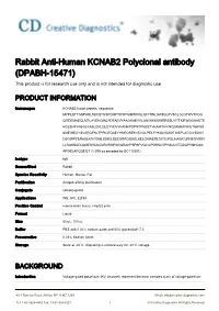 Rabbit Anti-Human KCNAB2 Polyclonal Antibody (DPABH-15471) This Product Is for Research Use Only and Is Not Intended for Diagnostic Use