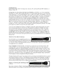 Flashlight Review