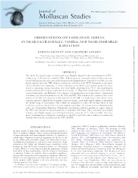 Observations on Land-Snail Shells in Near-Ultraviolet, Visible and Near-Infrared