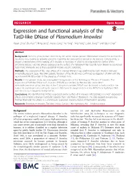 Expression and Functional Analysis of the Tatd-Like Dnase of Plasmodium