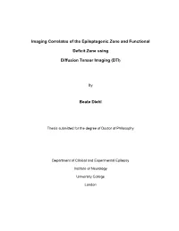 Imaging Correlates of the Epileptogenic Zone and Functional