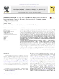Of Vertebrate Fossils from the Middle Eocene Oil Shale of Messel, Germany: Implications for Their Taphonomy and Palaeoenvironment