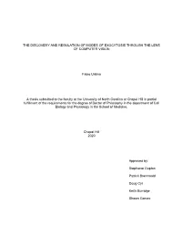 The Discovery and Regulation of Modes of Exocytosis Through the Lens of Computer Vision