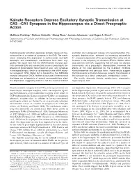 Kainate Receptors Depress Excitatory Synaptic Transmission at CA33CA1 Synapses in the Hippocampus Via a Direct Presynaptic Action