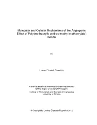 Molecular and Cellular Mechanisms of the Angiogenic Effect of Poly(Methacrylic Acid-Co-Methyl Methacrylate) Beads