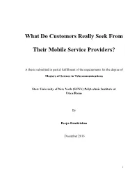 What Do Customers Really Seek from Their Mobile Service Providers?