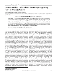 FOXN3 Inhibits Cell Proliferation Though Regulating E2F1 in Prostate Cancer