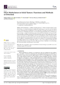 DNA Methylation in Solid Tumors: Functions and Methods of Detection