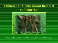 (Grau, Craig) Grau Brown Root Rot.Ppt [Read-Only]