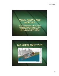 METAL MINING and MERCURY METAL MINING and MERCURY Lab Setting-Water View
