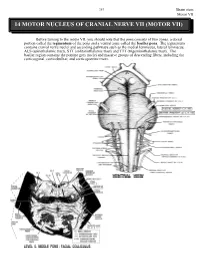 14 Motor Nucleus of Cranial Nerve Vii (Motor Vii)