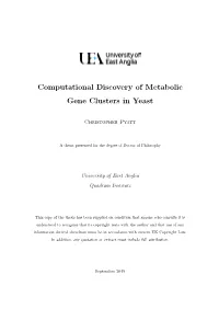 Computational Discovery of Metabolic Gene Clusters in Yeast