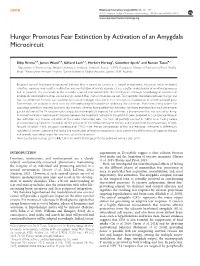 Hunger Promotes Fear Extinction by Activation of an Amygdala Microcircuit