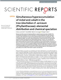 Simultaneous Hyperaccumulation of Nickel and Cobalt in the Tree Glochidion Cf