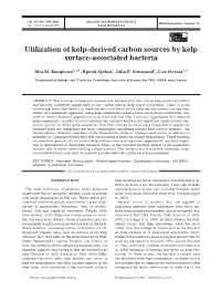 Utilization of Kelp-Derived Carbon Sources by Kelp Surface-Associated Bacteria