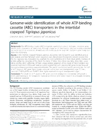 Genome-Wide Identification of Whole ATP-Binding Cassette (ABC)