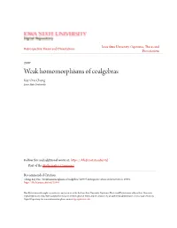 Weak Homomorphisms of Coalgebras Key One Chung Iowa State University
