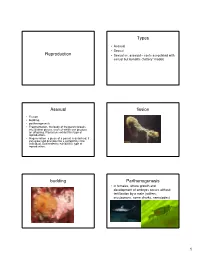Reproduction Types Asexual Fission Budding Parthenogenesis