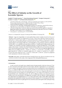 The Effect of Salinity on the Growth of Lavender Species