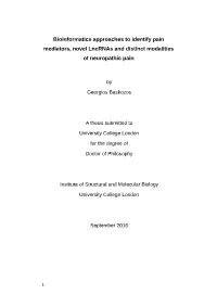 Bioinformatics Approaches to Identify Pain Mediators, Novel Lncrnas and Distinct Modalities of Neuropathic Pain