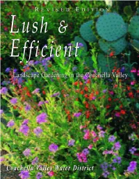 Lush & Efficient