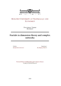 Fractals in Dimension Theory and Complex Networks
