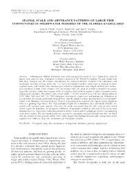 Spatial Scale and Abundance Patterns of Large Fish Communities in Freshwater Marshes of the Florida Everglades