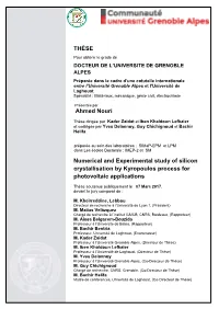 THÈSE Ahmed Nouri Numerical and Experimental Study of Silicon