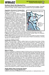 Wms92 Southern Basin Wet Meadow/Carr Factsheet