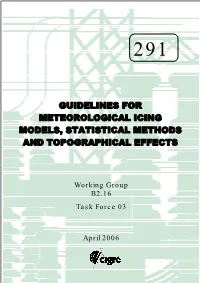 Guidelines for Meteorological Icing Models, Statistical Methods and Topographical Effects