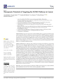 Therapeutic Potential of Targeting the SUMO Pathway in Cancer
