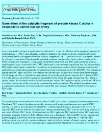 Generation of the Catalytic Fragment of Protein Kinase C Alpha in Vasospastic Canine Basilar Artery
