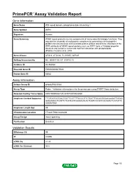 Primepcr™Assay Validation Report