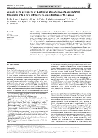 A Multi-Gene Phylogeny of Lactifluus (Basidiomycota, Russulales) Translated Into a New Infrageneric Classification of the Genus