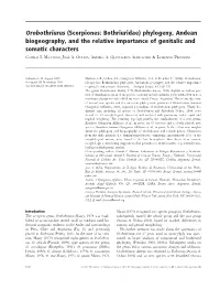Scorpiones: Bothriuridae) Phylogeny, Andean Biogeography, and the Relative Importance of Genitalic and Somatic Characters