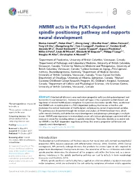HMMR Acts in the PLK1-Dependent Spindle Positioning Pathway And