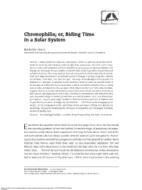 Chronophilia; Or, Biding Time in a Solar System