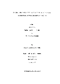 CANOPY and LEAF GAS EXCHANGE ACCOMPANYING PYTHIUM ROOT ROT of LETTUCE and CHRYSANTHEMUM a Thesis Presented to the Faculty Of