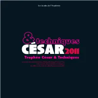 Parcourez Le Guide Techniques 2011 [Pdf]