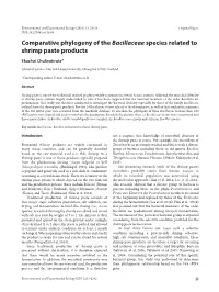 Comparative Phylogeny of the Bacillaceae Species Related to Shrimp Paste Products