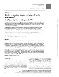 Cyclins Regulating Oocyte Meiotic Cell Cycle Progression