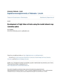 Development of High Value Oil Traits Using the Model Oilseed Crop Camelina Sativa