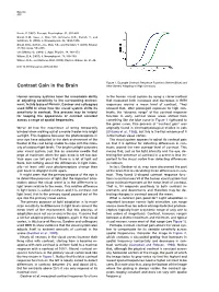 Contrast Gain in the Brain After (Green) Adapting to High Contrasts